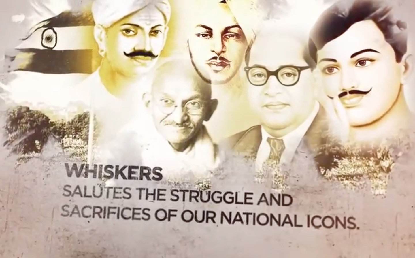 Whiskers Video Cover | Zero Designs