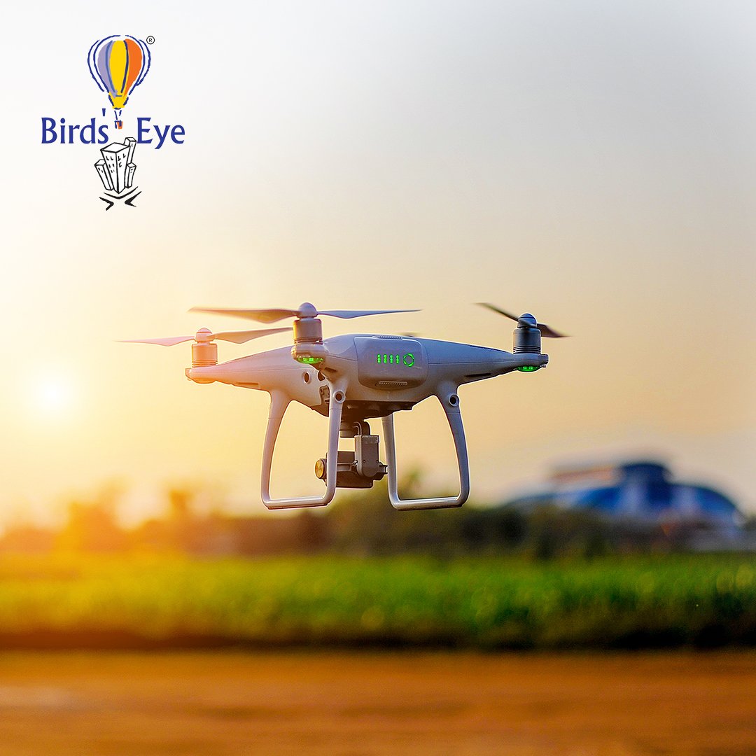 Bird’s Eye